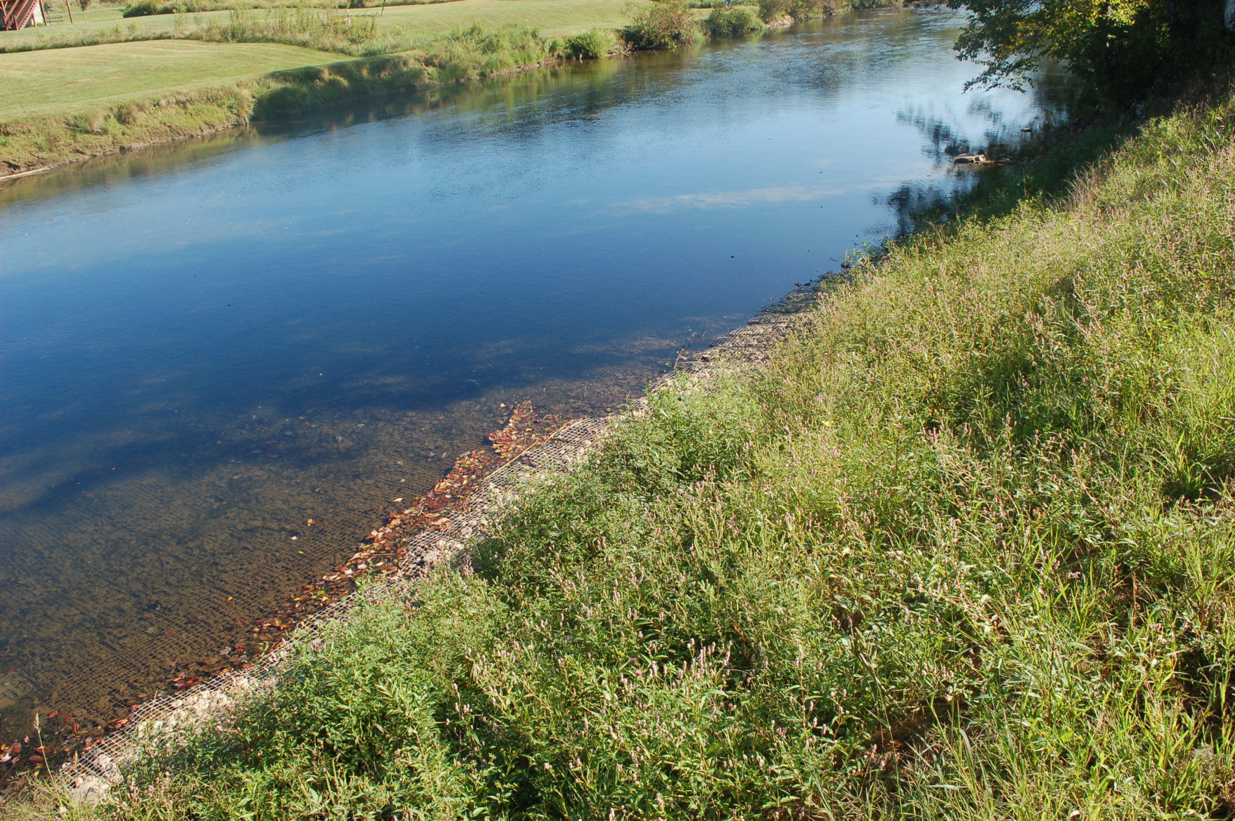 DSC_3095.JPG